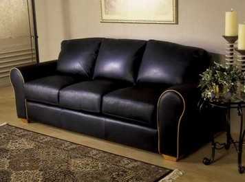 sofa.jpg (27119 bytes)